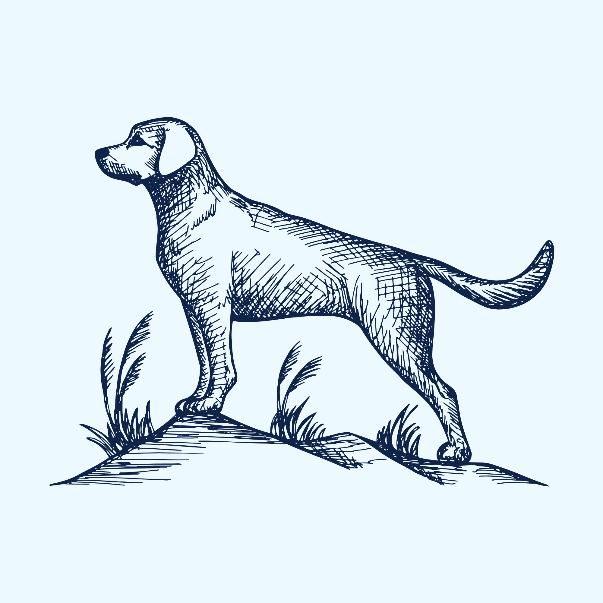 Logo Trimboetiek by Yeliz - detail 4